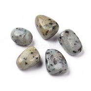 5Pcs Natural Sesame Jasper/Kiwi Jasper Beads, Tumbled Stone, Vase Filler Gems, No Hole/Undrilled, Nuggets, 20~35x13~23x8~22mm(G-FS0001-97)