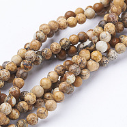 Gemstone Beads Strands, Natural Picture Jasper, Round, about 4mm in diameter, hole: about 0.8mm, 15~16 inch(X-GSR4mmC016)