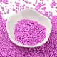 Baking Paint Glass Seed Beads(X-SEED-S042-05B-90)-2