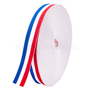 Polyester Grosgrain Ribbon, for Badge Medal Patriotic and Gift Wrapping, Red, White, Blue, 1 inch(25mm)(SRIB-WH0008-01B)