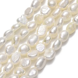 Natural Cultured Freshwater Pearl Beads Strands, Two Sides Polished, Linen, 5~6x4x2.5~3mm, Hole: 0.6mm, about 65~72pcs/strand, 14.57''(37cm)(PEAR-A005-13B-01)
