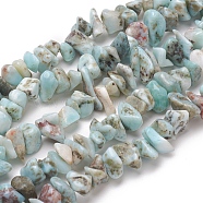 Natura Larimar Beads Strands, Chips, 5~8x5~8mm, Hole: 0.6mm, 15.75 inch(40 cm)(G-D0007-01)