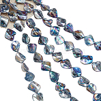 5 Strands Freshwater Shell Beads Strands, AB Color Plated, Dyed, Tooth, Black, 18~23x17~25x5~12mm, Hole: 1mm, about 19pcs/strand, 15.75 inch~16.34 inch(40~41.5cm)(SHEL-NB0001-58)
