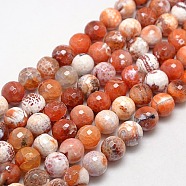 Natural Fire Crackle Agate Beads Strands, Dyed, Faceted Round, Dark Orange, 14mm, Hole: 1mm, about 28pcs/strand, 14.56 inch(G-L084-14mm-04)