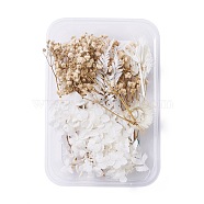 Dried Flowers, DIY Candle Soap Making Accessories, with Plastic Rectangle Box, BurlyWood & White, 2.2~14x2.4~10.2cm(DIY-D052-04)