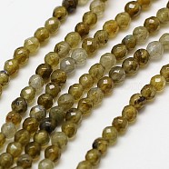 Natural Labradorite Beads Strands, Faceted Round, 3mm, Hole: 0.8mm, about 126pcs/strand, 15.1 inch(G-A129-3mm-H02)