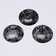 Natural Labradorite Pendants, Flat Round, 30x6~8mm, Hole: 2.5mm(G-G647-46)