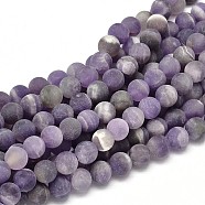 Frosted Natural Amethyst Round Bead Strands, 10mm, Hole: 1mm, about 38pcs/strand, 15.74 inch(G-L357-10mm-07)