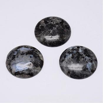 Natural Labradorite Pendants, Flat Round, 30x6~8mm, Hole: 2.5mm