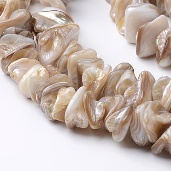 Natural Freshwater Shell Bead Strands, Tan, 10~25x10~25x3~10mm, Hole: 1mm, about 62pcs/strand, 15.4 inch