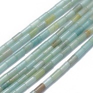 Natural Amazonite Beads Strands, Column, 4~5x2~2.5mm, Hole: 0.6~0.8mm, about 88~102pcs/strand, 15.3~15.7 inch(39~40cm)(G-F631-B12)
