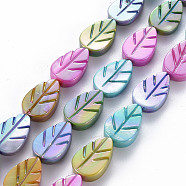 Electroplated Natural Freshwater Shell Beads Strands, Dyed, Leaf, Mixed Color, 14~15x9~10x2~4mm, Hole: 0.8mm, about 25pcs/strand, 13.98 inch~14.17 inch(35.5~36cm)(SHEL-N026-166A-01)