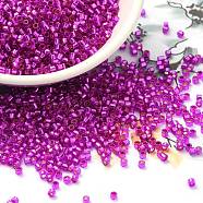 Glass Seed Beads, Silver Lined, Cylinder, Magenta, 2x1.5mm, Hole: 1.4mm, about 50398pcs/pound(SEED-S042-04B-21)