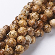 Natural Gemstone Beads Strands, Picture Jasper, Round, 10mm, Hole: 1mm, about 37~39pcs/strand, 15.5 inch(X-GSR10mmC016)