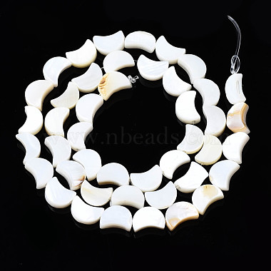 Natural Freshwater Shell Beads Strands(X-SHEL-N026-151)-2