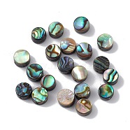 Natural Abalone Shell/Paua Shell Beads, Flat Round, Colorful, 6x3.5mm, Hole: 0.9mm(SSHEL-M021-02)