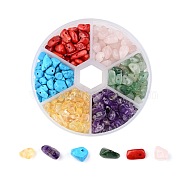 6 Color Gemstone Beads, Chip, Natural Amethyst, Synthetic Howlite, Natural Rose Quartz, Synthetic Coral, Natural Citrine, Natural Aventurine, 7~12x5~12x2~8mm, Hole: 0.3~0.6mm, about 350pcs/box(G-X0004-B)