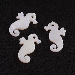 Natural White Shell Mother of Pearl Shell Pendants, Sea Horse, 15.5x9x1.5mm, Hole: 1.5mm(SSHEL-G014-70)