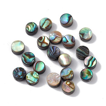 Natural Abalone Shell/Paua Shell Beads, Flat Round, Colorful, 6x3.5mm, Hole: 0.9mm
