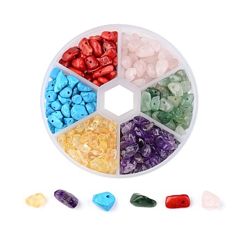 6 Color Gemstone Beads, Chip, Natural Amethyst, Synthetic Howlite, Natural Rose Quartz, Synthetic Coral, Natural Citrine, Natural Aventurine, 7~12x5~12x2~8mm, Hole: 0.3~0.6mm, about 350pcs/box
