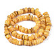 Natural Trochid Shell/Trochus Shell Beads Strands(SHEL-S258-081-B11)-2