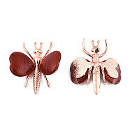Natural  Red Jasper Display Decorations, with Rose Gold Color Plated Alloy Findings, Dragonfly, 44x36~39x12mm(G-N0326-102B)
