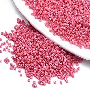 11/0 Grade A Baking Paint Glass Seed Beads, Cylinder, Uniform Seed Bead Size, Opaque Colours Luster, Hot Pink, about 1.5x1mm, Hole: 0.5mm, about 20000pcs/bag(SEED-S030-1034)