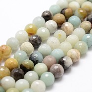 Natural Flower Amazonite Beads Strands, Faceted, Round, Colorful, 6mm, Hole: 1mm, about 61pcs/strand, 14.9 inch~15.1 inch(G-G736-15-6mm)