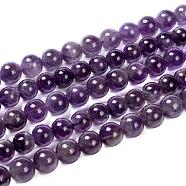 Gemstone Beads Strands, Amethyst, Round, about 8mm in diameter, hole: about 1mm, 15~16 inch(X-GSR062)