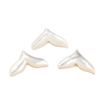 Natural Sea Shell Cabochons, Fish Tail, White, 8.5x13.5x2mm