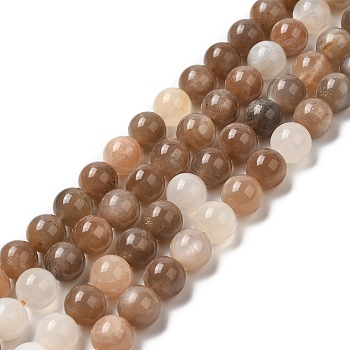 Natural Multi-Moonstone Beads Strands, Moonstone & Sunstone Beads, Round, 8mm, Hole: 1mm, about 48pcs/strand, 15.7 inch