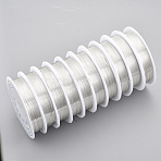 Round Copper Jewelry Wire, Long-Lasting Plated, Silver Color Plated, 24 Gauge, 0.5mm, about 20.34 Feet(6.2m)/roll(X-CWIR-Q006-0.5mm-S)
