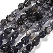 Natural Iolite Beads Strands, Nuggets, Tumbled Stone, 7~13x4.5~10x4.5~10mm, Hole: 1.2mm, about 44~46pcs/strand, 15.08~16.14 inch(38.3~41cm)(G-P497-01E-01)