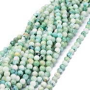 Grade A Natural Sesame Jasper Beads Strands, Round, 6~6.5mm, Hole: 0.8mm, about 66pcs/strand, 15.55 inch(39.5cm)(G-O201A-08A)