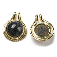 Natural Labradorite Pendants, with Brass Findings, Cadmium Free & Lead Free, Flat round, Golden, 28~28.5x22x7.5mm, Hole: 4X2.5mm(G-M405-06G)