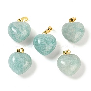 Natural Amazonite Pendants, Heart Charms with Brass Snap on Bails, Golden, 18x15.5x10mm, Hole: 5x3mm(G-J386-H16-G)