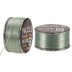 Nylon Beading Thread, Seed Bead Thread, Nylon String for Jewelry Beading Bracelets Making, Light Green, 0.1mm, about 50.31 Yards(46m)/Roll(NWIR-WH0005-10U)
