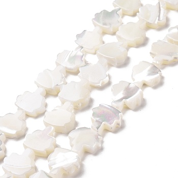 Natural Trochid Shell Beads Strands, Tree, White, 11x10.5x3~3.5mm, Hole: 0.6mm, about 36~37pcs/strand, 15.75~15.94 inch(40~40.5cm)