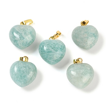 Natural Amazonite Pendants, Heart Charms with Brass Snap on Bails, Golden, 18x15.5x10mm, Hole: 5x3mm