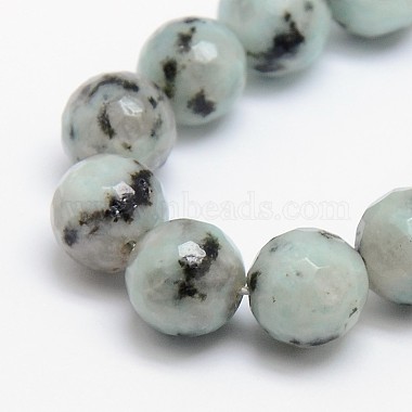 12mm Aqua Round Sesame Jasper Beads