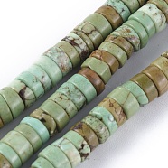 Natural Howlite Beads Strands, Heishi Beads, Dyed & Heated, Flat Round/Disc, Dark Sea Green, 6x3mm, Hole: 0.8mm, about 152pcs/strand, 15.1 inch(38.5cm)(X-TURQ-L030-04B-02)