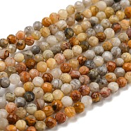 Natural Crazy Agate Beads Strands, Faceted, Round, 3mm, Hole: 1mm(G-K020-3mm-29)