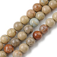 Natural Aqua Terra Jasper Beads Strands, Round, 14mm, Hole: 1.2mm, about 28~29pcs/strand, 15.7 inch(40cm)(G-E444-14B-14mm)