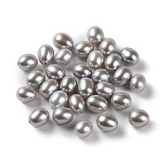 Dyed Natural Cultured Freshwater Pearl Beads, Half Drilled, Rice, Grade 5A, Dark Gray, 5.5~6x4~5mm, Hole: 0.8mm(PEAR-E020-12)