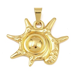 Ocean Theme 304 Stainless Steel Pendants, Golden, Conch, 26.5x30x4mm, Hole: 6x3mm(STAS-K315-01B-G)