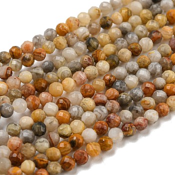 Natural Crazy Lace Agate Beads Strands, Faceted, Round, 3mm, Hole: 1mm