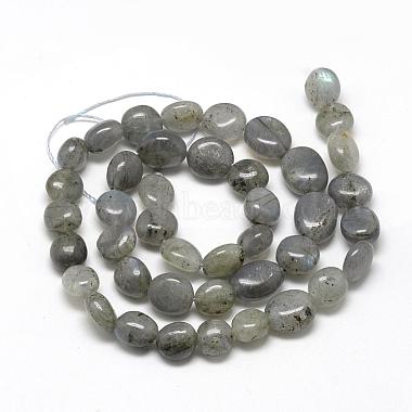 Chapelets de perles en labradorite naturelle (G-R445-8x10-20)-2