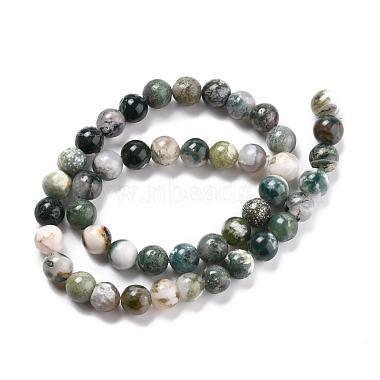 Natural Tree Agate Beads Strands(G-I199-03-8mm)-3