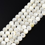 Natural White Shell Bead Strands, Round, 5mm, Hole: 1mm, about 79~81pcs/strand, 15.16 inch~15.75 inch(38~40cm)(SSHEL-N003-144D-01)