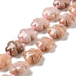 Natural Pink Ocean Jasper/Ocean Agate Beads Strands, 5-petal Flower, 14~15x14~15x6~7mm, Hole: 1.2mm, about 27pcs/strand, 16.14''(41~44.5cm)(G-D475-02F)